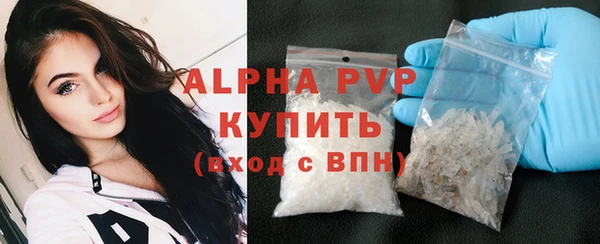 стаф Алексин