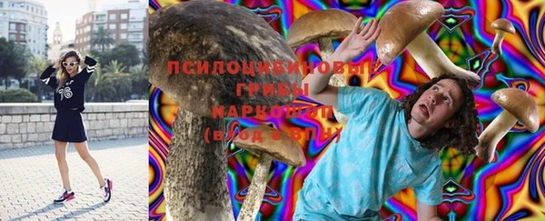 МДПВ Алзамай