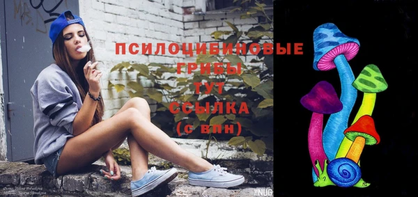 гидра Абаза