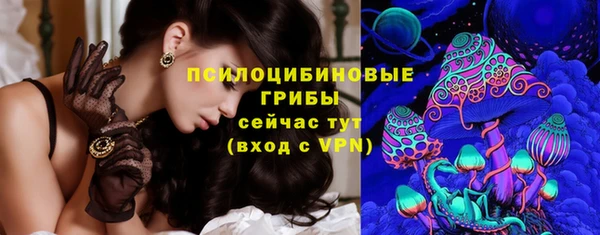 МДПВ Алзамай