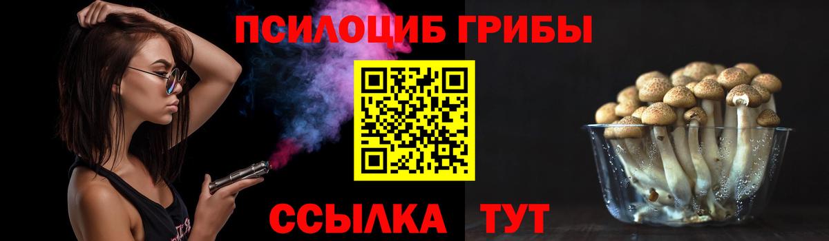 Псилоцибиновые грибы прущие грибы  Галлюциногенные грибы Cubensis  где продают наркотики  Протвино  Вход с VPN 