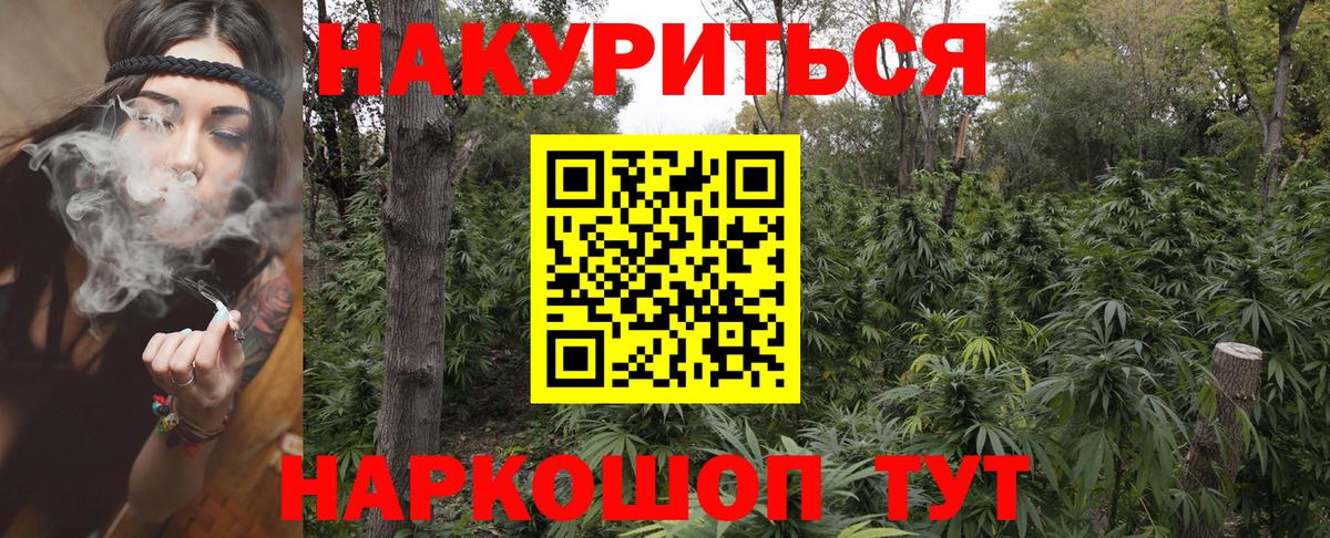 Конопля гибрид  Бошки марихуана конопля  Протвино  Шишки марихуана THC 21%  Вход с VPN 